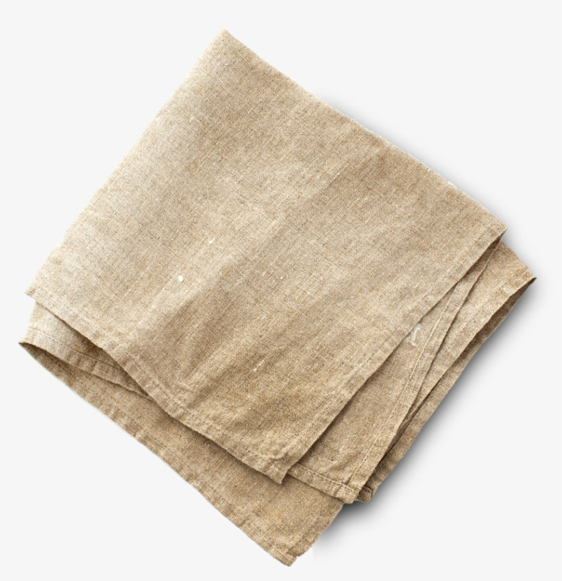 Napkin 1